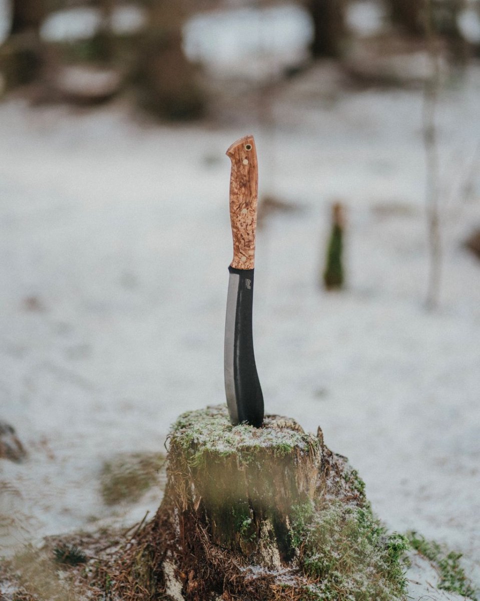 BRISA Bigmuk – Stabilized Curly Birch – Image 6