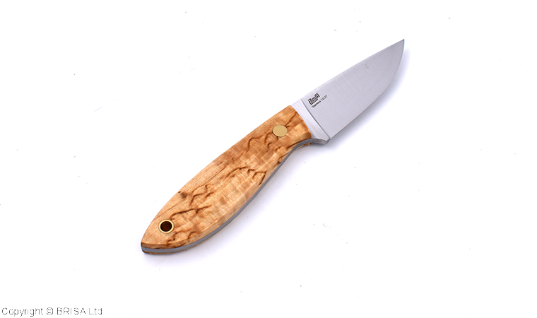 BRISA Bobtail 80 – Curly Birch – Image 3