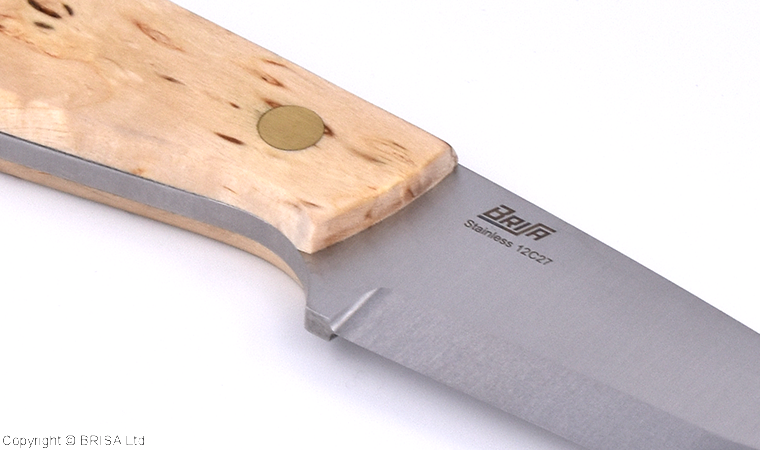 BRISA Bobtail 80 – Curly Birch – Image 7