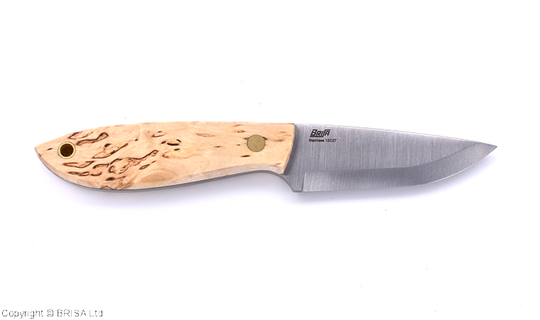 BRISA Bobtail 80 – Curly Birch – Image 6