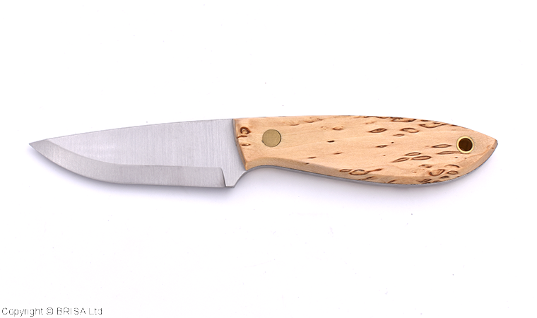 BRISA Bobtail 80 – Curly Birch – Image 4