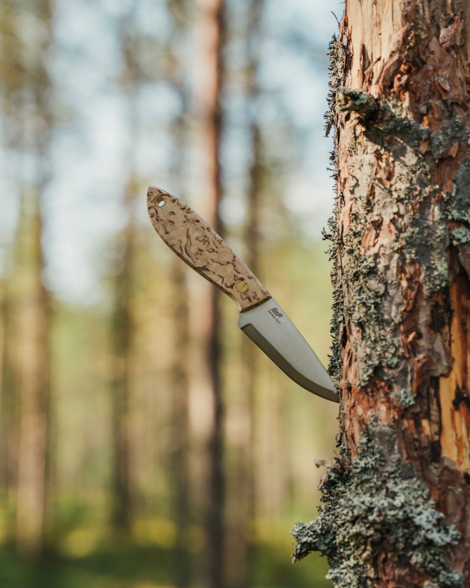 BRISA Bobtail 80 – Curly Birch – Image 5