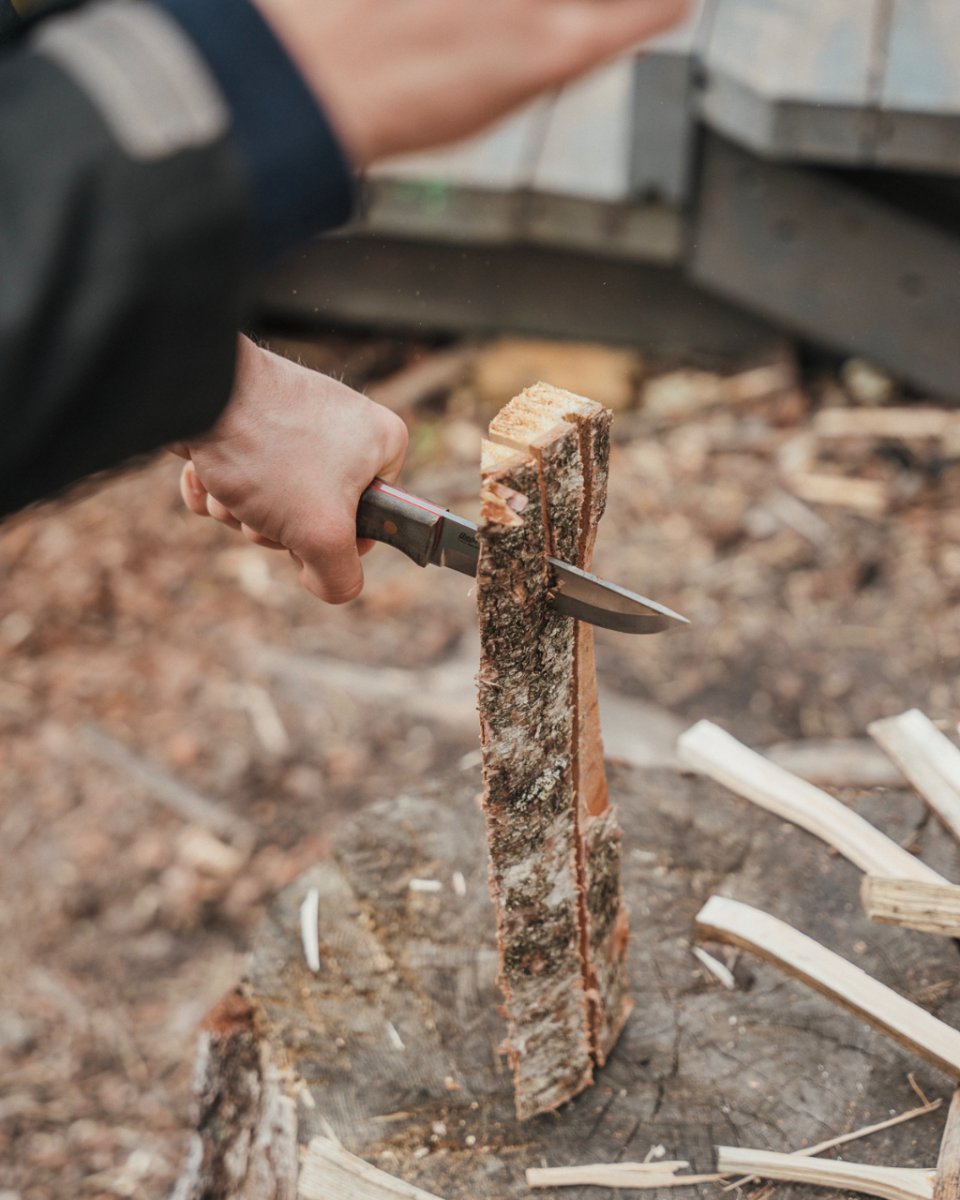 BRISA – Trooper 115 – Stabilized Curly Birch – Image 9