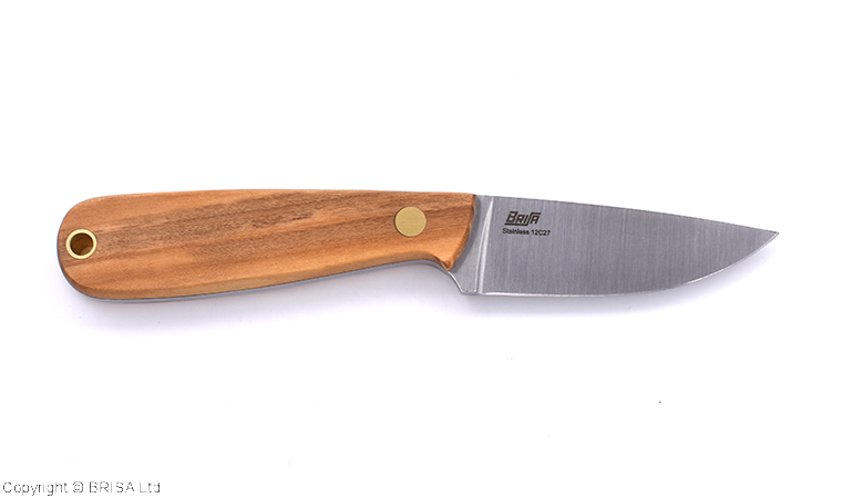 Brisa Necker 70 – Olivier – Image 6